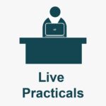 balc digital marketing bengaluru