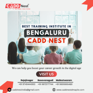 Cadd Nest Digital Marketing Training Institute
